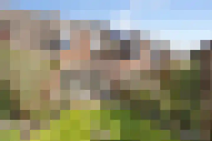 Burchtenlaan 31 's-Hertogenbosch thumbnail 25