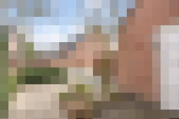 Burchtenlaan 31 's-Hertogenbosch thumbnail 27