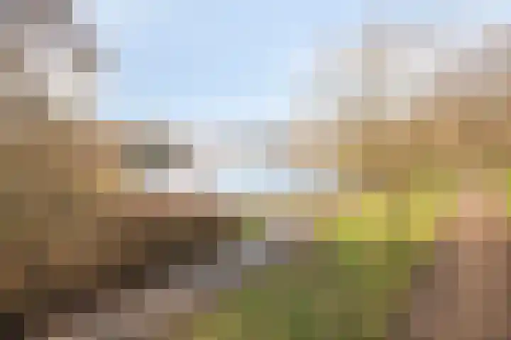Burchtenlaan 75 's-Hertogenbosch thumbnail 32