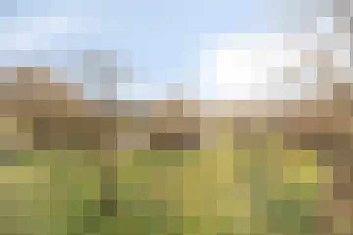 Burchtenlaan 75 's-Hertogenbosch thumbnail 33