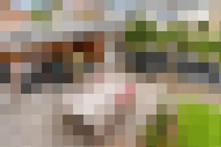 Burchtgraafstraat 25 Gendt thumbnail 38