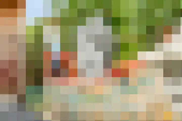 Burchtgraafstraat 25 Gendt thumbnail 47
