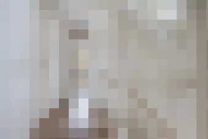 Burchtmuur 16 Houten thumbnail 12