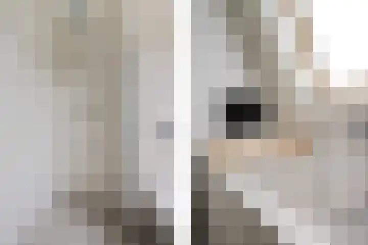 Burchtmuur 16 Houten thumbnail 20