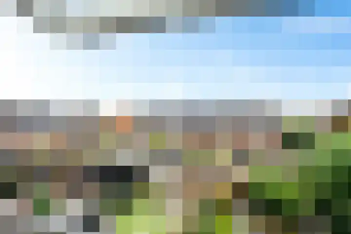 Burchtmuur 16 Houten thumbnail 26