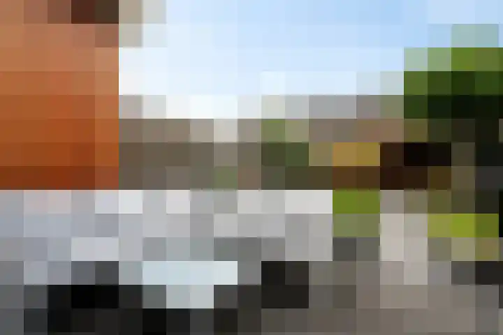 Burchtmuur 16 Houten thumbnail 28