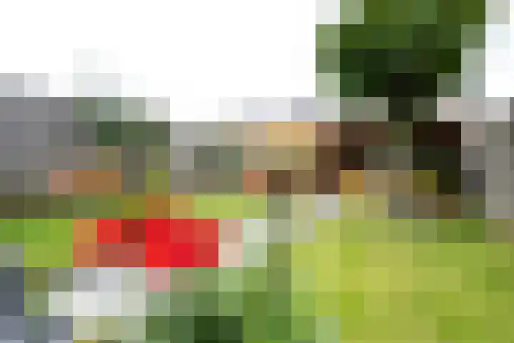 Burchtmuur 16 Houten thumbnail 29