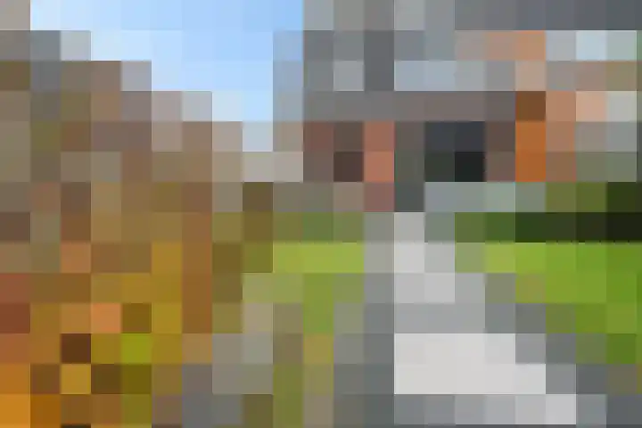 Burchtmuur 16 Houten thumbnail 30