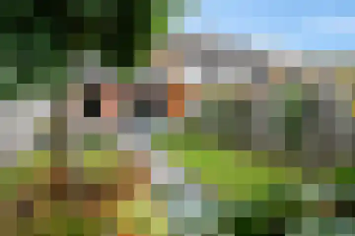 Burchtmuur 16 Houten thumbnail 31