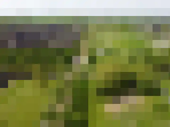 Burchtmuur 16 Houten thumbnail 33
