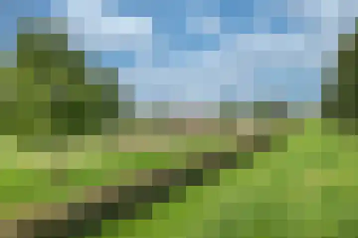 Burchtmuur 16 Houten thumbnail 35