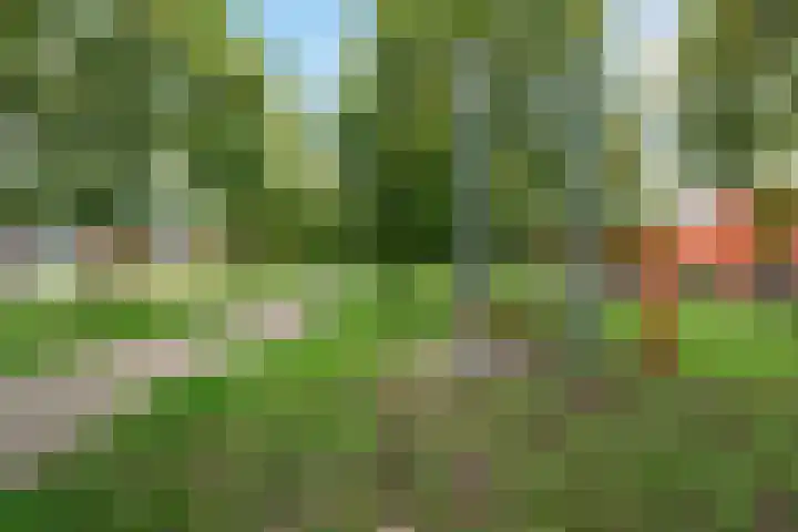 Burchtmuur 16 Houten thumbnail 36