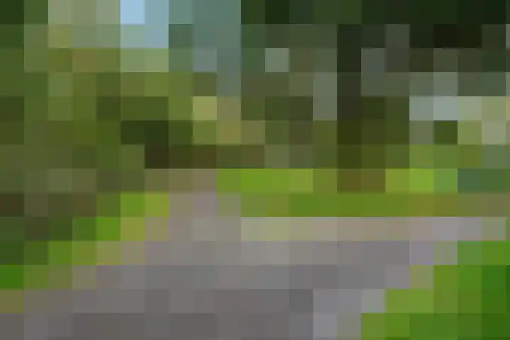 Burchtmuur 16 Houten thumbnail 38