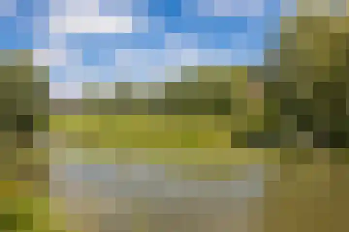 Burchtmuur 16 Houten thumbnail 40