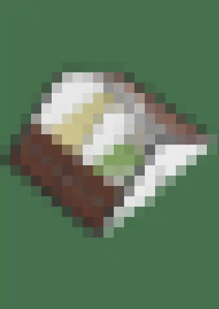 Burchtmuur 16 Houten thumbnail 49