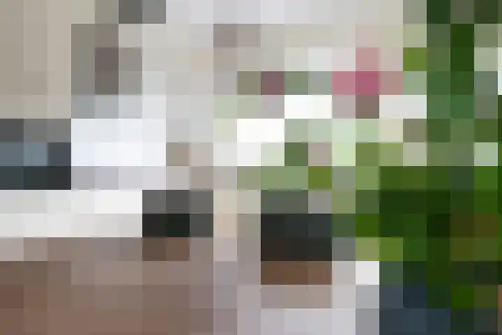 Burchtmuur 16 Houten thumbnail 7