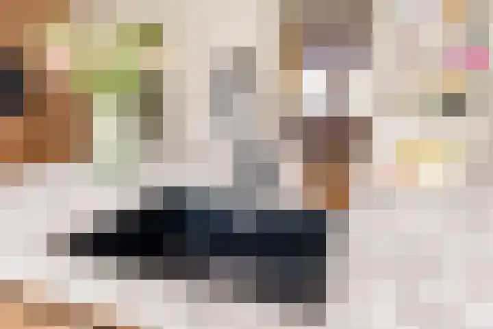 Burchtmuur 30 Houten thumbnail 26