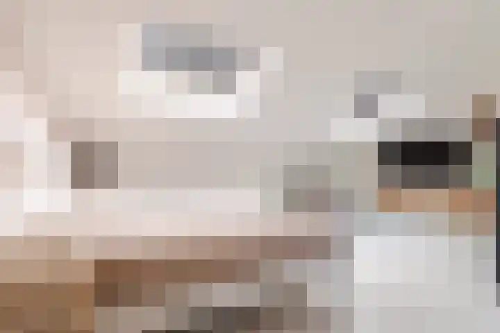Burchtmuur 30 Houten thumbnail 40
