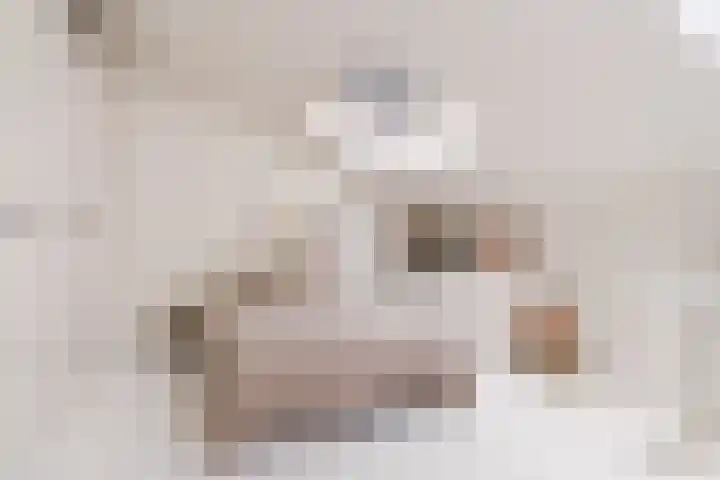 Burchtmuur 30 Houten thumbnail 42