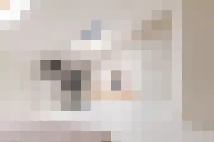 Burchtmuur 30 Houten thumbnail 43