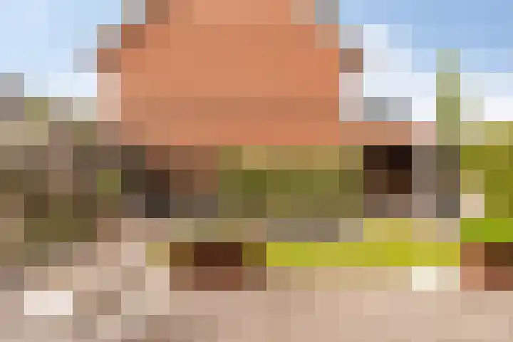 Burchtmuur 30 Houten thumbnail 47