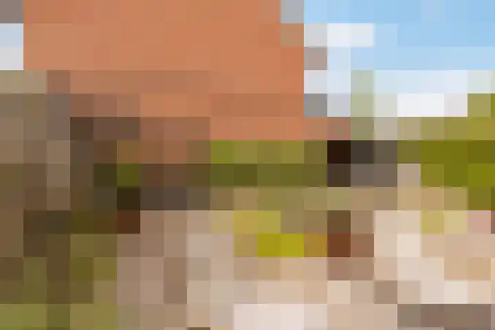 Burchtmuur 30 Houten thumbnail 49