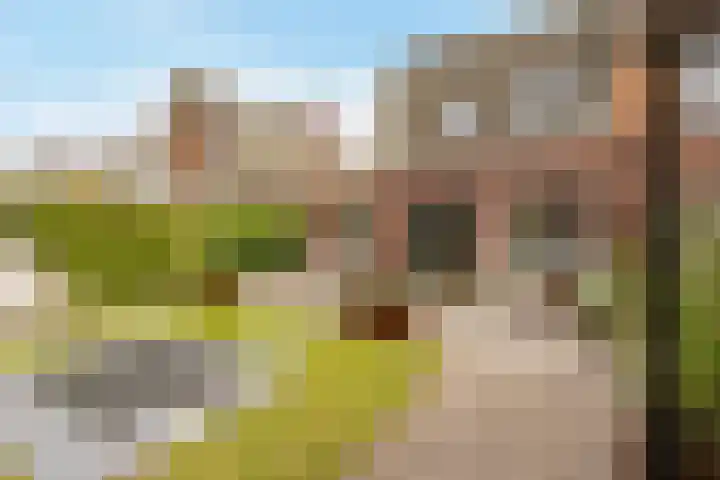 Burchtmuur 30 Houten thumbnail 50