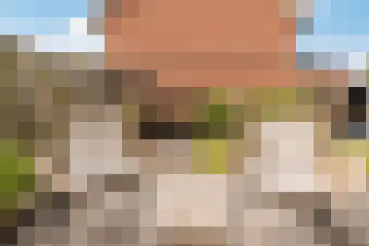 Burchtmuur 30 Houten thumbnail 51