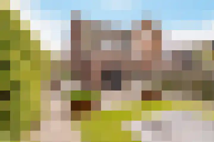 Burchtmuur 30 Houten thumbnail 52