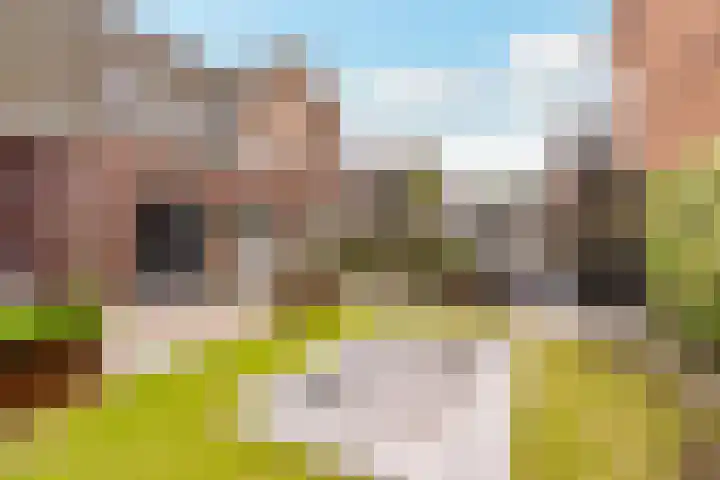 Burchtmuur 30 Houten thumbnail 53