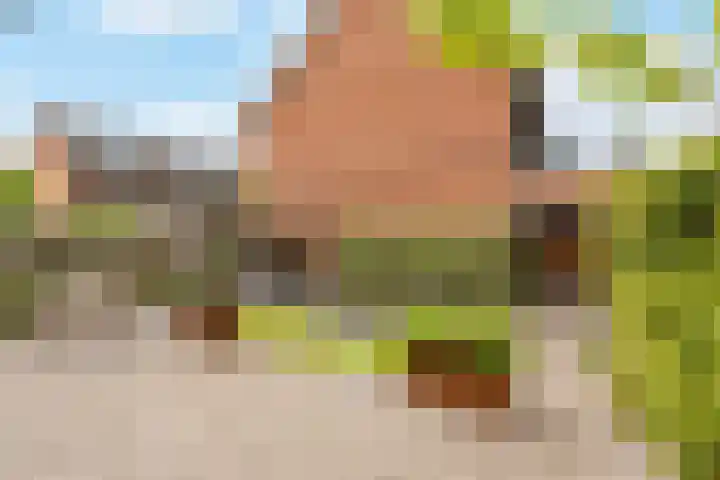 Burchtmuur 30 Houten thumbnail 54