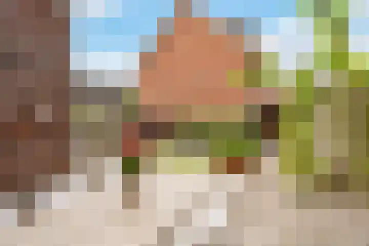 Burchtmuur 30 Houten thumbnail 56