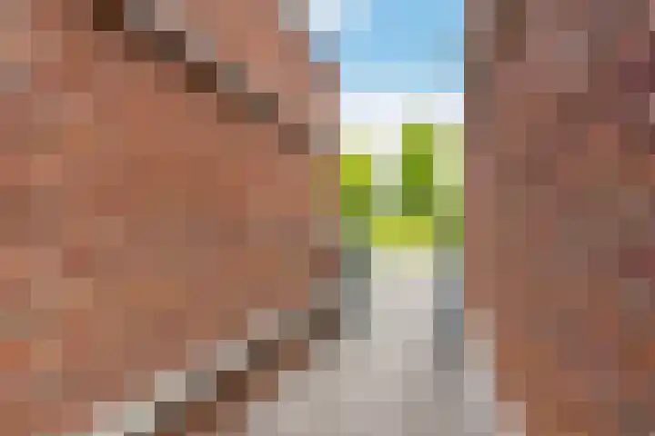 Burchtmuur 30 Houten thumbnail 57