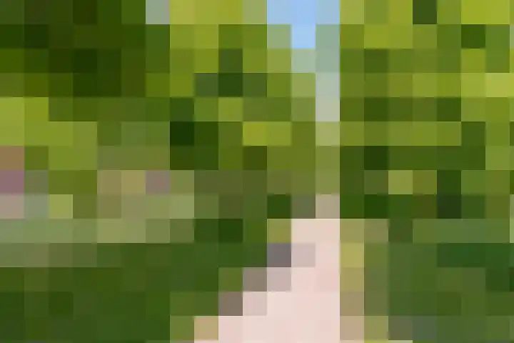 Burchtmuur 30 Houten thumbnail 58