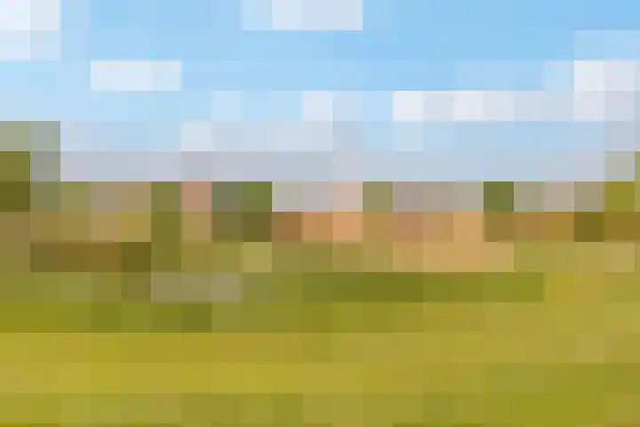Burchtmuur 30 Houten thumbnail 59