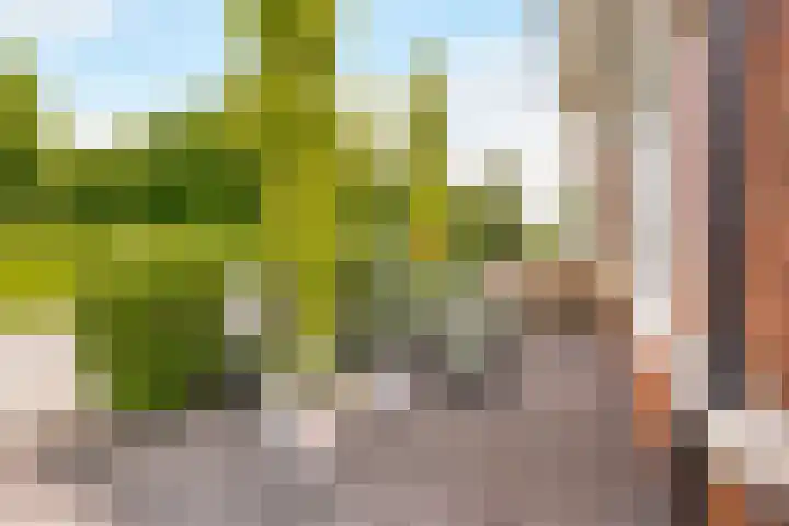 Burchtmuur 30 Houten thumbnail 6
