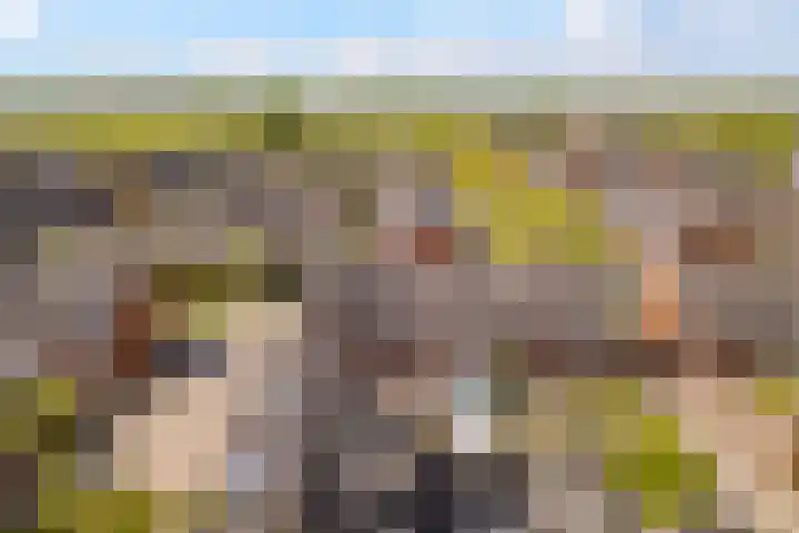 Burchtmuur 30 Houten thumbnail 62