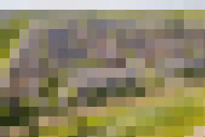 Burchtmuur 30 Houten thumbnail 64