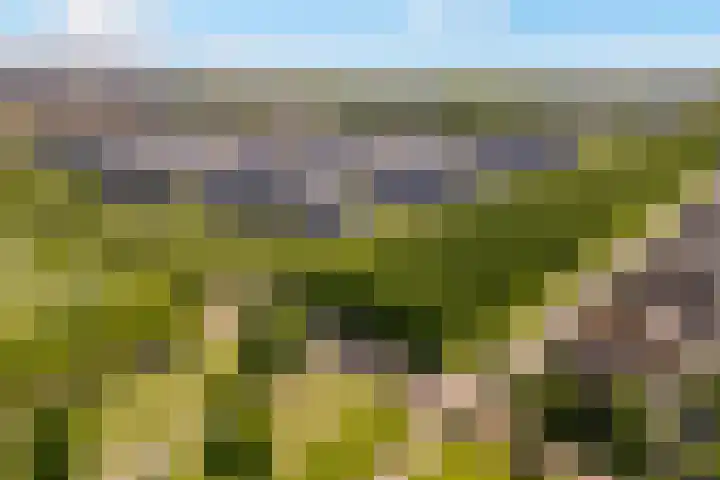 Burchtmuur 30 Houten thumbnail 65