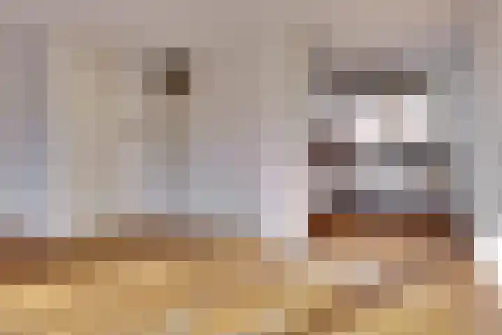 Burchtpad 188 Hellevoetsluis thumbnail 7