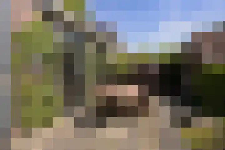 Burchtplein 1 A Wassenaar thumbnail 10