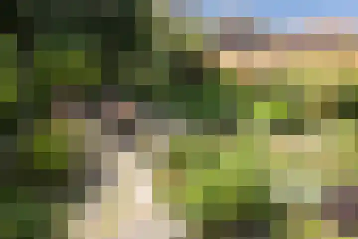 Burchtplein 1 A Wassenaar thumbnail 11
