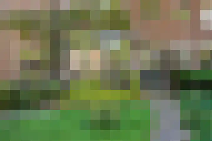 Burchtplein 1 A Wassenaar thumbnail 4