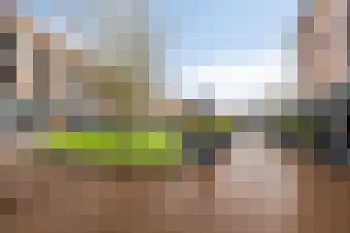 Burchtplein 10 Etten-Leur thumbnail 8