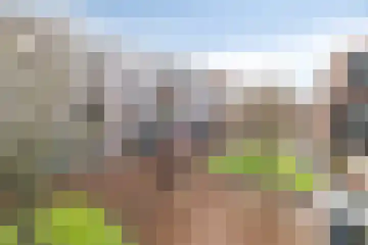 Burchtplein 10 Etten-Leur thumbnail 9