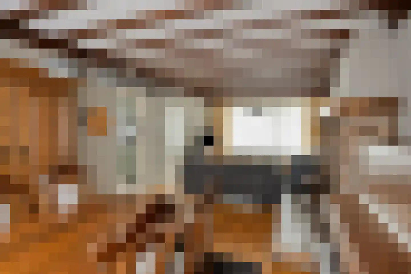 Burchtplein 2 Baarlo thumbnail 11