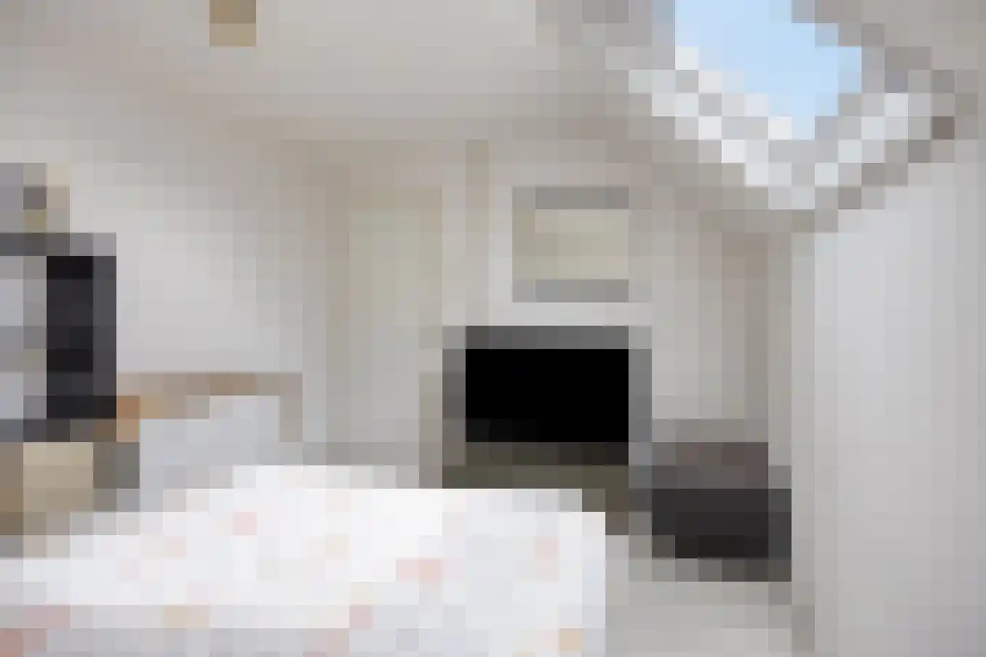 Burchtplein 2 Baarlo thumbnail 22
