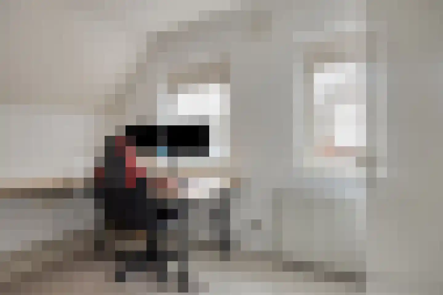 Burchtplein 2 Baarlo thumbnail 23