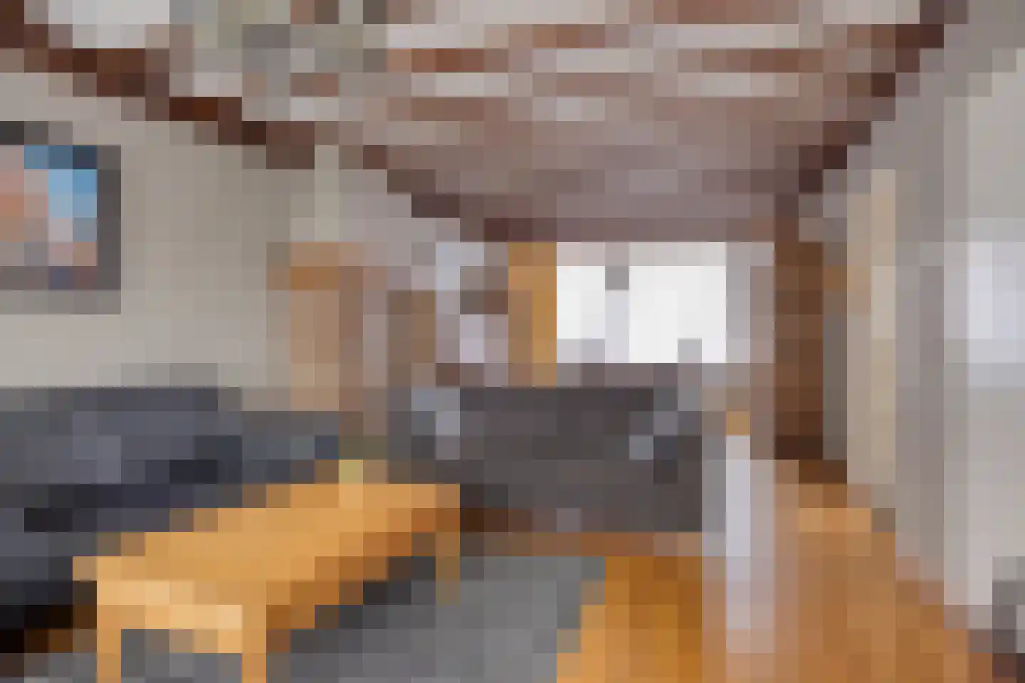 Burchtplein 2 Baarlo thumbnail 8