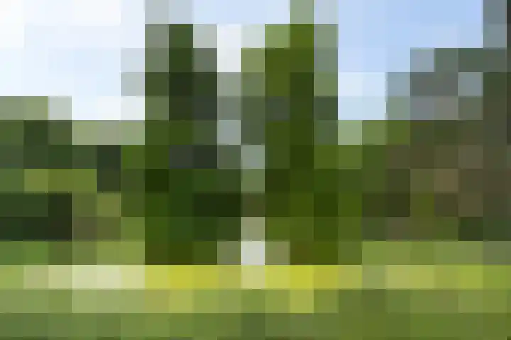 Burchtplein 20 Wassenaar thumbnail 30